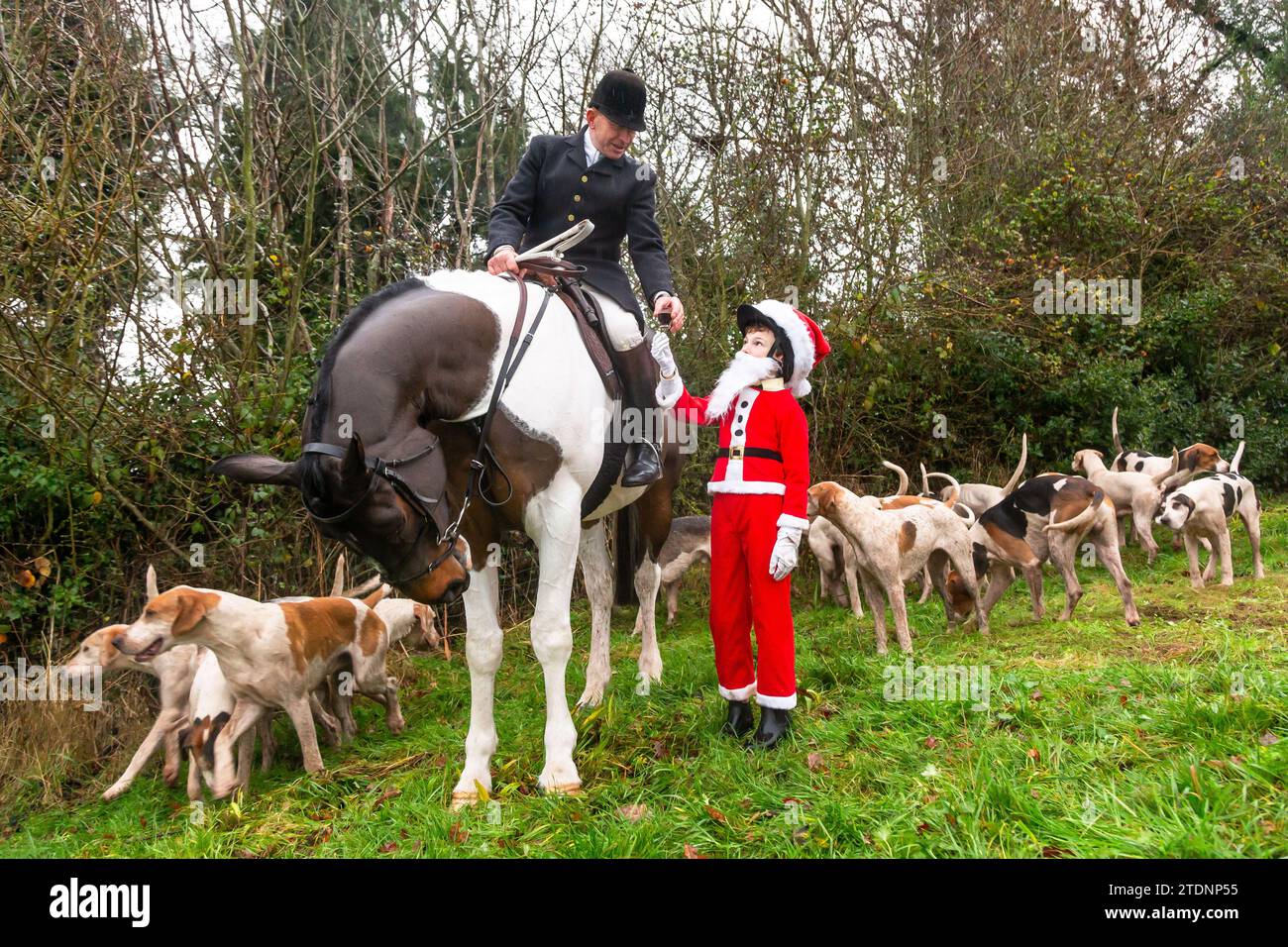 Upper Arley, Kidderminster, Worcestershire, UK. 19th Dec, 2023. 10-year-old Henley Mills dressed as Santa Claus hands the traditional glass of port to the Master of the Foxhounds from the Albrighton and Woodland hunt as they have a lawn meet and trail ride from a farm in Upper Arley, near Kidderminster in Worcestershire. Credit: Peter Lopeman/Alamy Live News Stock Photo