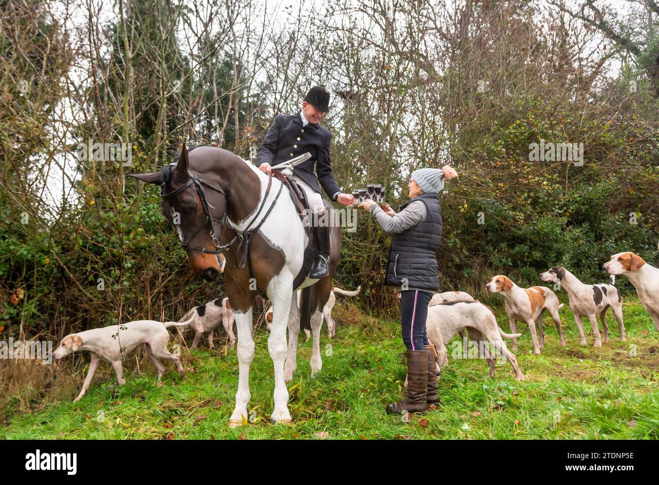 Upper Arley, Kidderminster, Worcestershire, UK. 19th Dec, 2023. Jane Mundie, farmer, hands the traditional glass of port to the Master of the Foxhounds from the Albrighton and Woodland hunt as they have a lawn meet and trail ride from a farm in Upper Arley, near Kidderminster in Worcestershire. Credit: Peter Lopeman/Alamy Live News Stock Photo