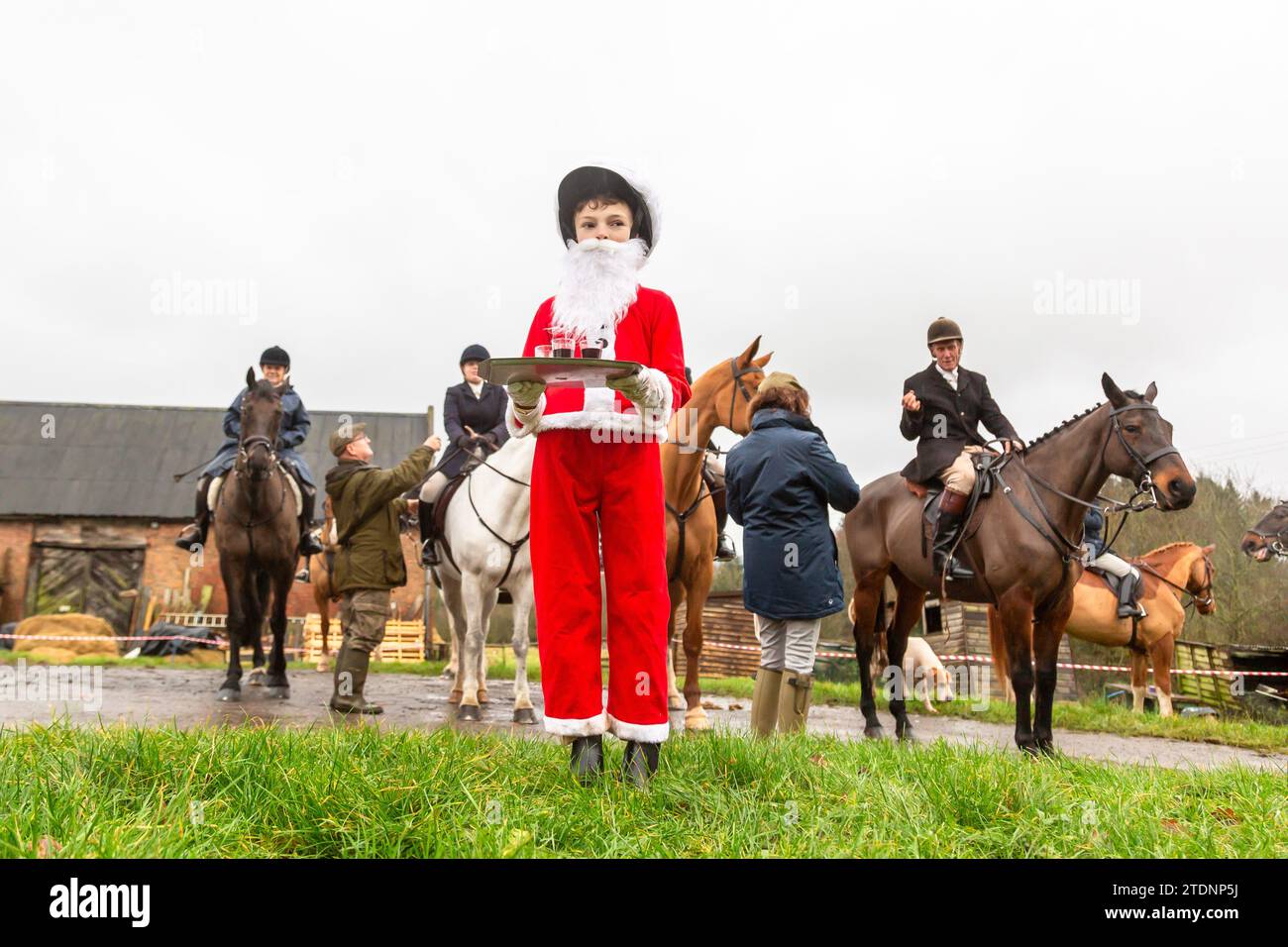 Upper Arley, Kidderminster, Worcestershire, UK. 19th Dec, 2023. 10-year-old Henley Mills dressed as Santa Claus hands out the traditional glass of port to members of the Albrighton and Woodland hunt as they have a lawn meet and trail ride from a farm in Upper Arley, near Kidderminster in Worcestershire. Credit: Peter Lopeman/Alamy Live News Stock Photo