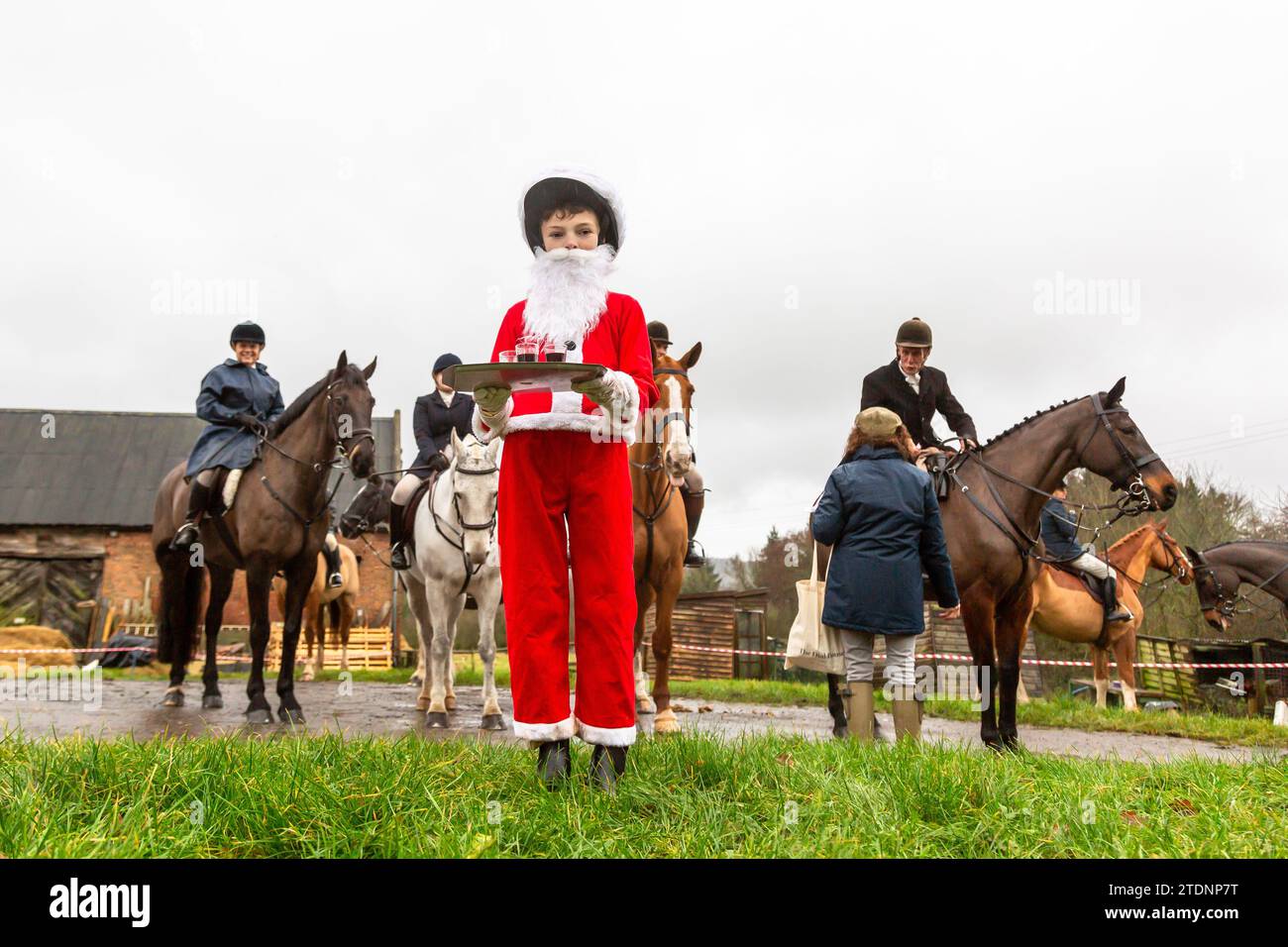 Upper Arley, Kidderminster, Worcestershire, UK. 19th Dec, 2023. 10-year-old Henley Mills dressed as Santa Claus hands out the traditional glass of port to members of the Albrighton and Woodland hunt as they have a lawn meet and trail ride from a farm in Upper Arley, near Kidderminster in Worcestershire. Credit: Peter Lopeman/Alamy Live News Stock Photo