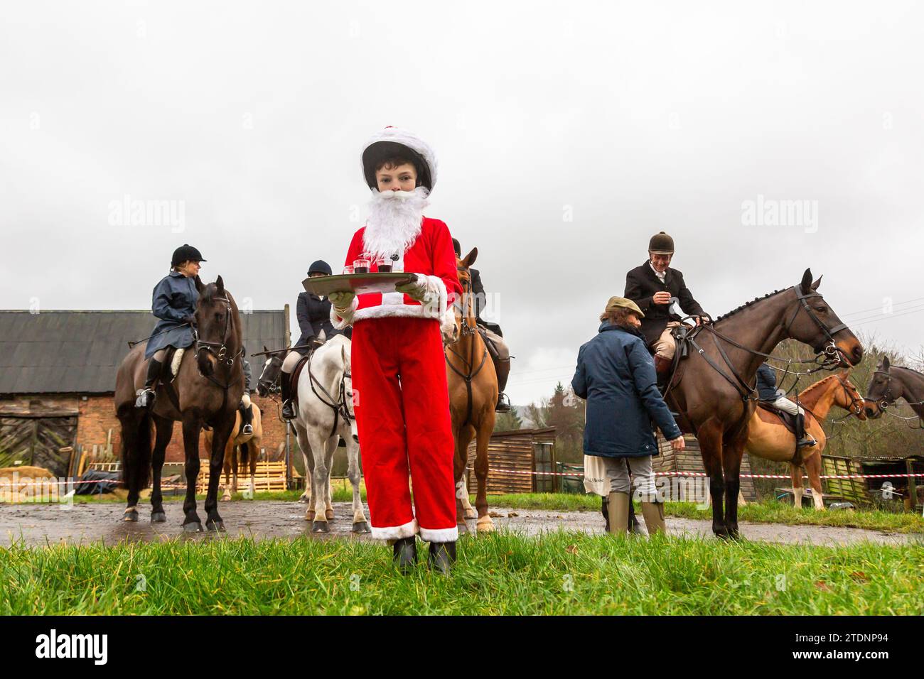 Upper Arley, Kidderminster, Worcestershire, UK. 19th Dec, 2023. 10-year-old Henley Mills dressed as Santa Claus hands out the traditional glass of port to members of the Albrighton and Woodland hunt as they have a lawn meet and trail ride from a farm in Upper Arley, near Kidderminster in Worcestershire. Credit: Peter Lopeman/Alamy Live News Stock Photo