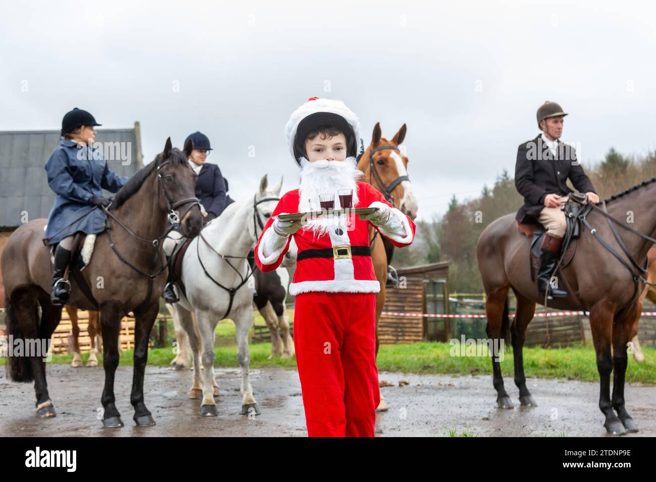 Upper Arley, Kidderminster, Worcestershire, UK. 19th Dec, 2023. 10-year-old Henley Mills dressed as Santa Claus hands out the traditional glass of port to members of the Albrighton and Woodland hunt as they have a lawn meet and trail ride from a farm in Upper Arley, near Kidderminster in Worcestershire. Credit: Peter Lopeman/Alamy Live News Stock Photo