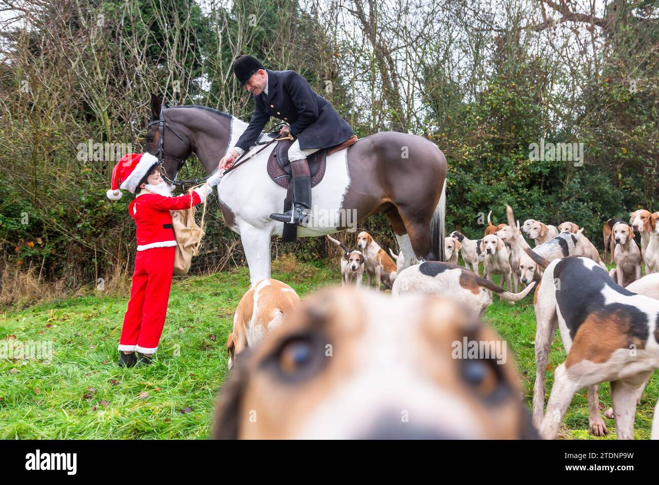 Upper Arley, Kidderminster, Worcestershire, UK. 19th Dec, 2023. 10-year-old Henley Mills dressed as Santa Claus hands a chocolate bar to the Master of the Foxhounds of the Albrighton and Woodland hunt as they have a lawn meet and trail ride from a farm in Upper Arley, near Kidderminster in Worcestershire. Credit: Peter Lopeman/Alamy Live News Stock Photo