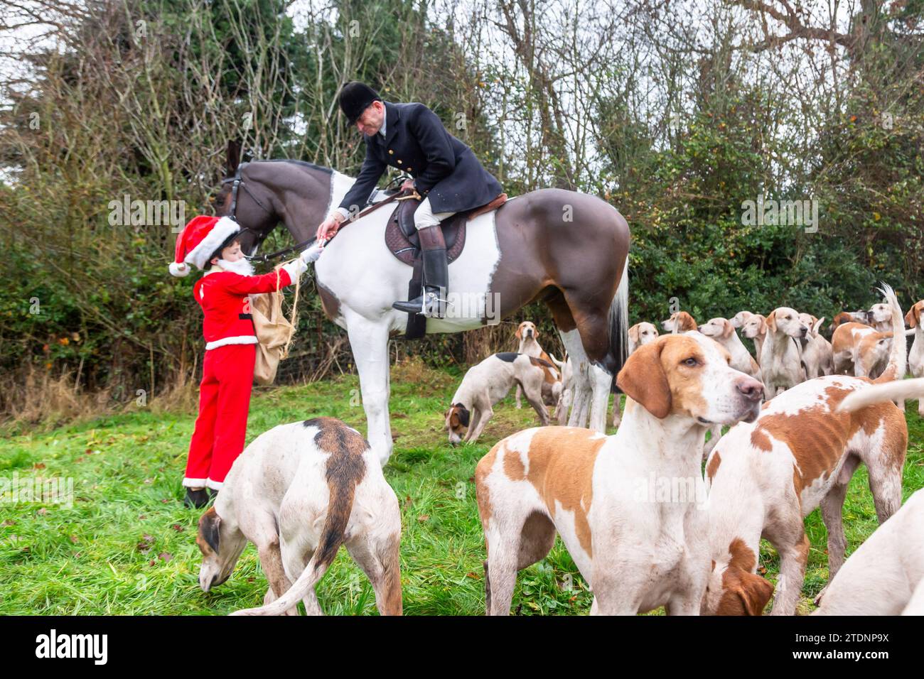 Upper Arley, Kidderminster, Worcestershire, UK. 19th Dec, 2023. 10-year-old Henley Mills dressed as Santa Claus hands a chocolate bar to the Master of the Foxhounds of the Albrighton and Woodland hunt as they have a lawn meet and trail ride from a farm in Upper Arley, near Kidderminster in Worcestershire. Credit: Peter Lopeman/Alamy Live News Stock Photo