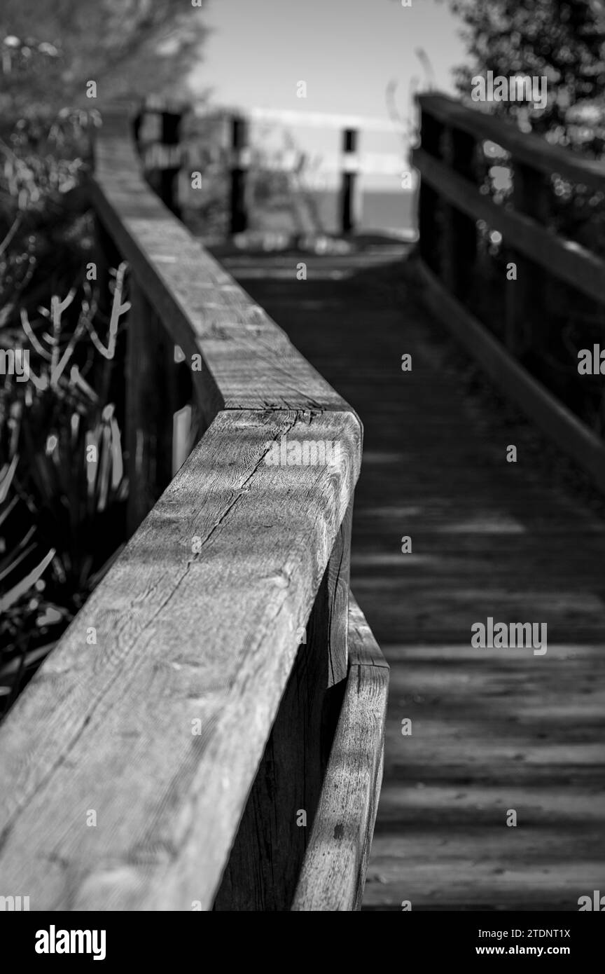 The new wood pathway built in Punta marina and Marina di Ravenna Stock Photo