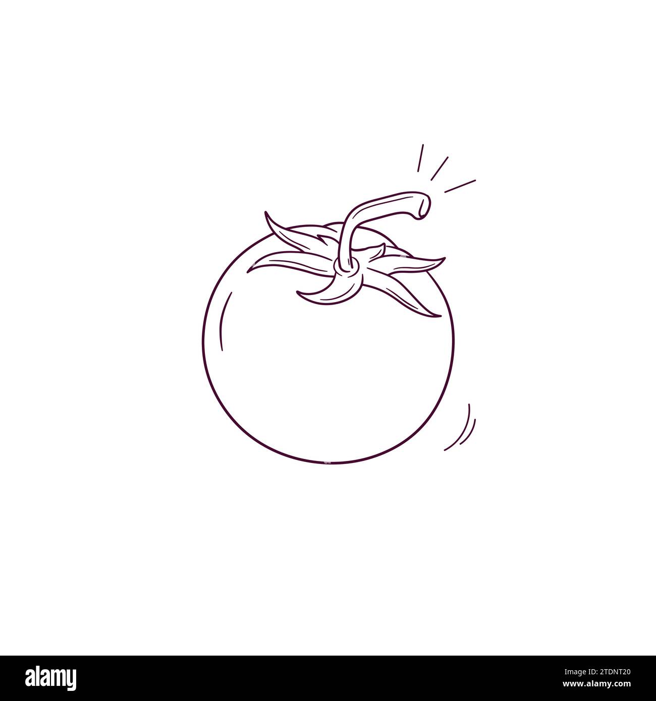 Hand Drawn illustration of tomato icon. Doodle Vector Sketch ...