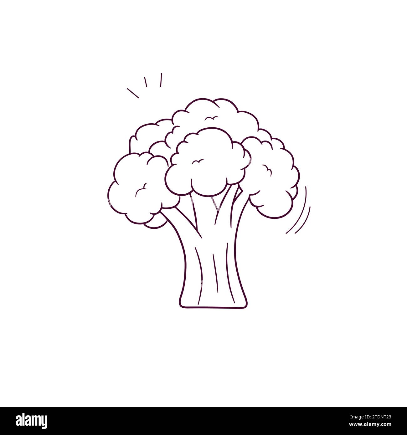Hand Drawn illustration of broccoli icon. Doodle Vector Sketch ...