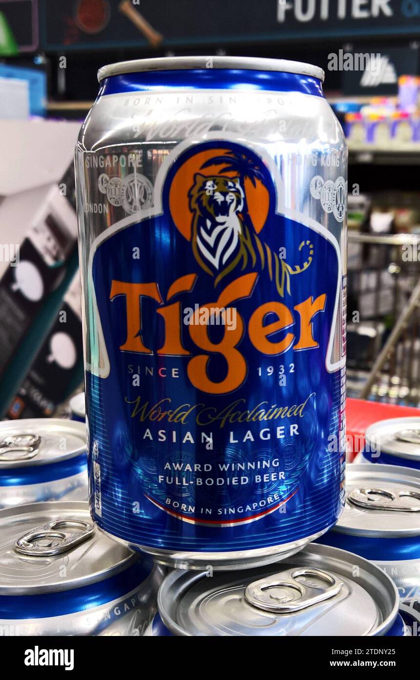 Tiger Bier in der Dose. Tiger ist eine Biermarke aus Singapur. Nach Firmenangaben wurde Tiger 1932 gegründet und ist heute die grösste asiatische Brauerei. Tiger ist Eigentum der Asia Pacific Breweries Ltd *** Tiger beer in a can Tiger is a beer brand from Singapore According to the company, Tiger was founded in 1932 and is now the largest Asian brewery Tiger is owned by Asia Pacific Breweries Ltd Stock Photo