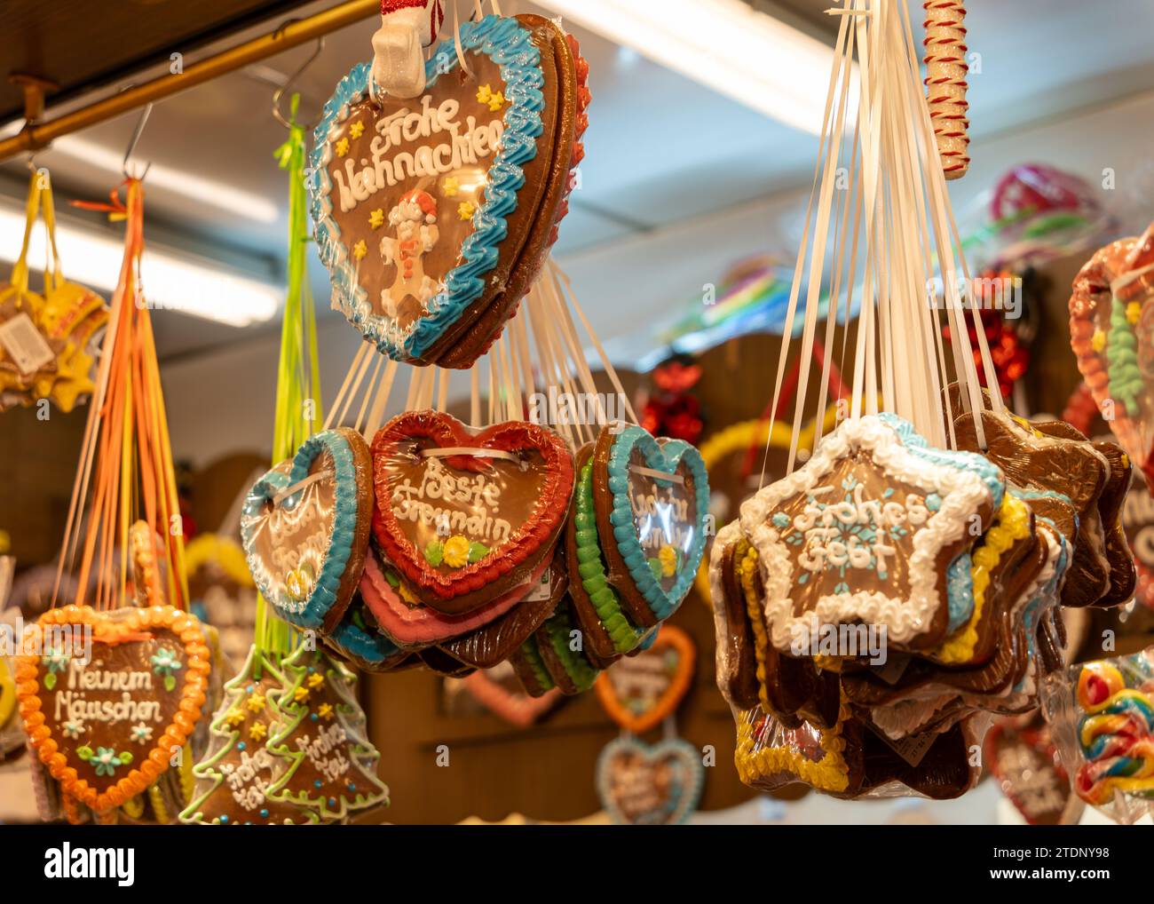 Merry christmas translate french