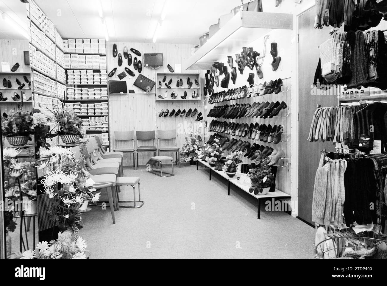 Roderer shoes shop north main