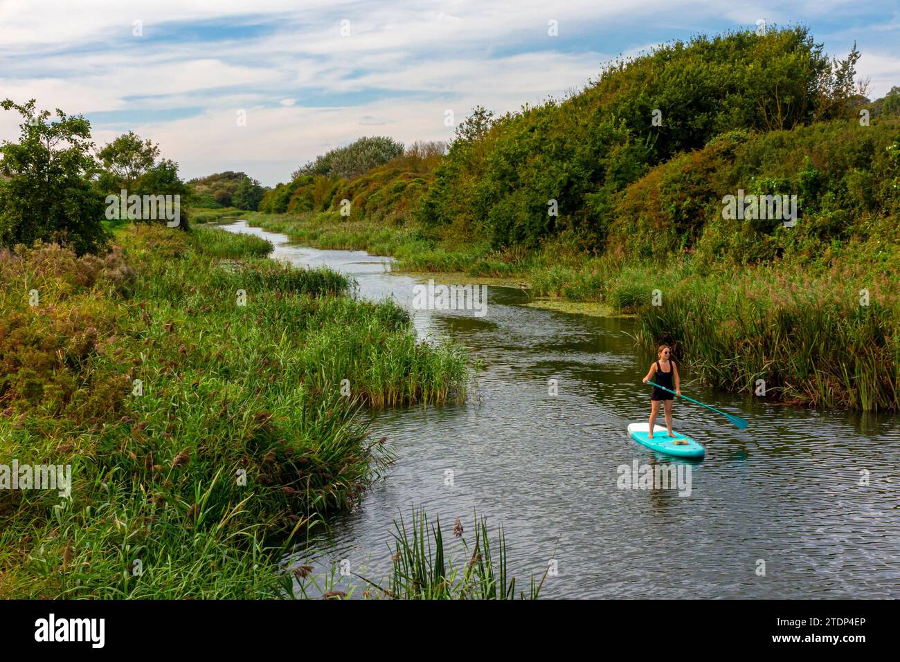 Paddle boarder on The Royal Military Canal Sandgate near Hythe in Kent England UK opened in 1809 as a defensive waterway during the Napoleonic wars. Stock Photo