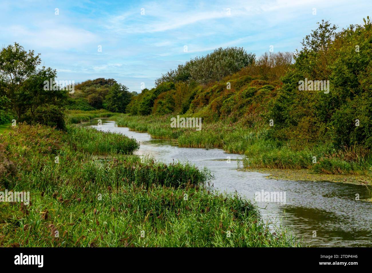The Royal Military Canal at Sandgate near Hythe in Kent England UK opened in 1809 as a defensive waterway during the Napoleonic wars. Stock Photo