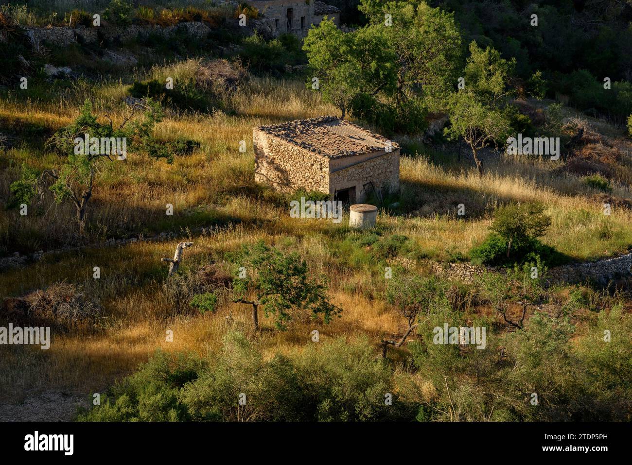 A cottage and small terraced fields on the mountain of Puig de Bonany (Majorca, Balearic Islands, Spain) ESP Una barraca y pequeños campos en Mallorca Stock Photo