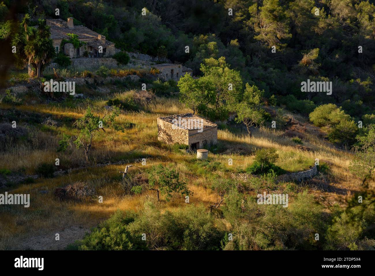 A cottage and small terraced fields on the mountain of Puig de Bonany (Majorca, Balearic Islands, Spain) ESP Una barraca y pequeños campos en Mallorca Stock Photo