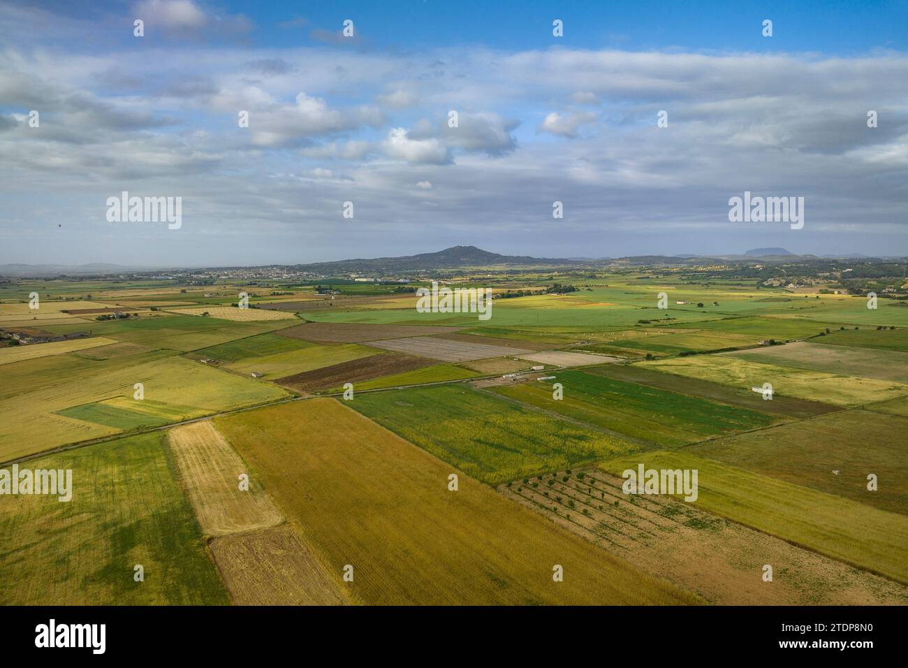 Aerial view of fields and agricultural environments near the village of Ariany in spring (Mallorca, Balearic Islands, Spain) Stock Photo