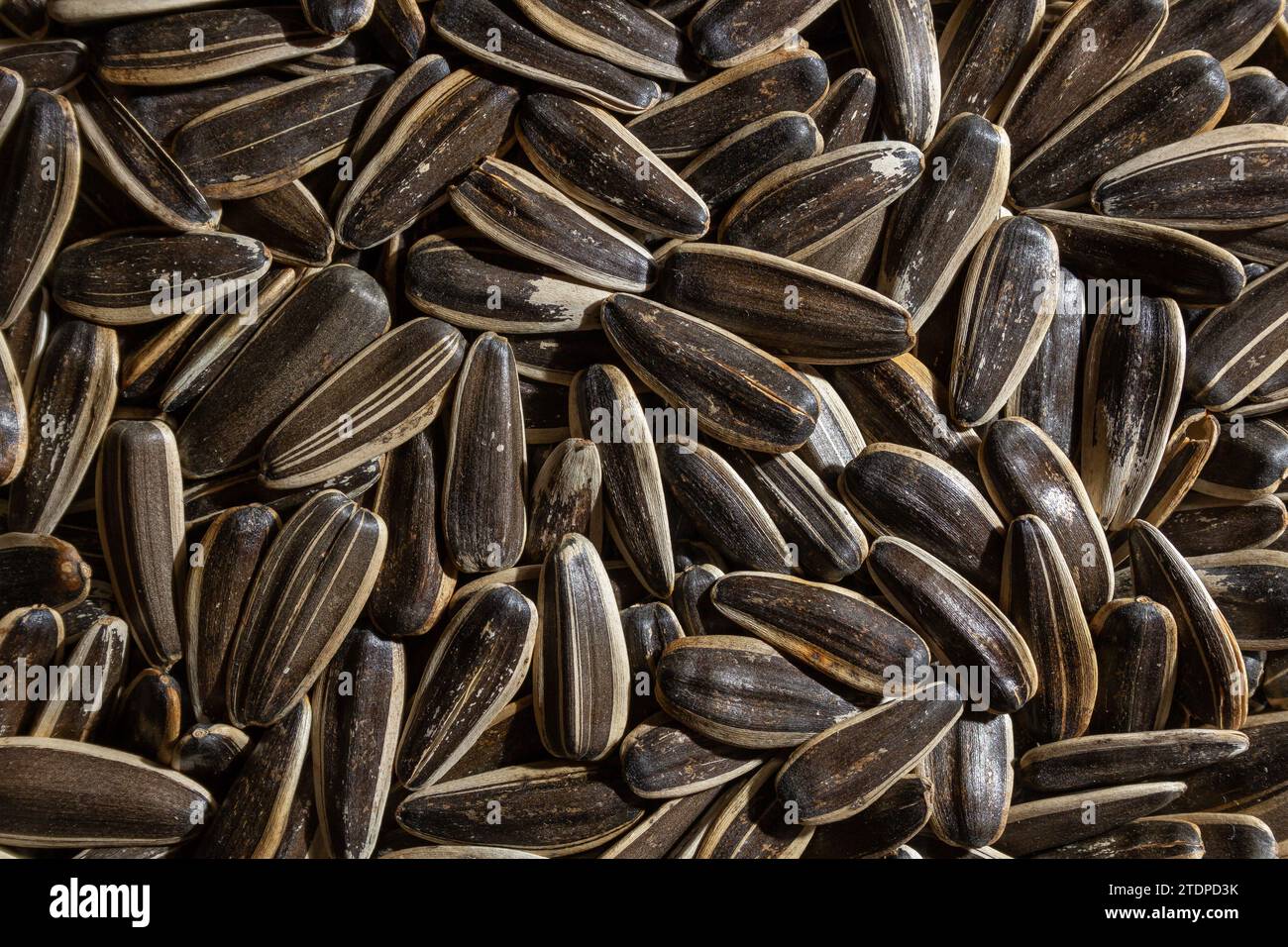 Non Salty Roasted Sunflower Seeds in Shell A Culinary Canvas of