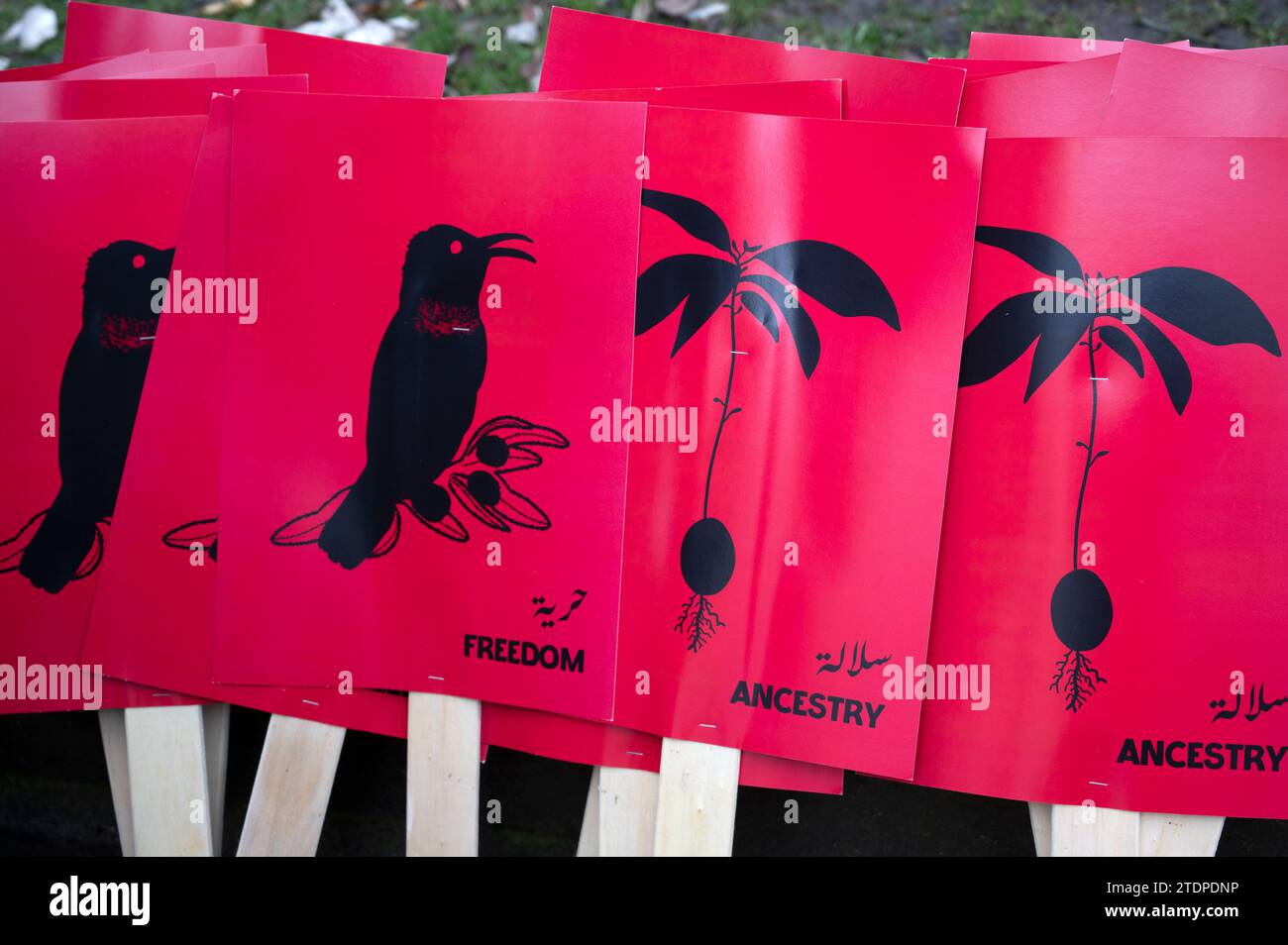 Hackney December 16th 2023. Protest at the town hall against Israel's continual bombing of Gaza. Placards with  Palestine sunbird (Cinnyris osea) and Stock Photo