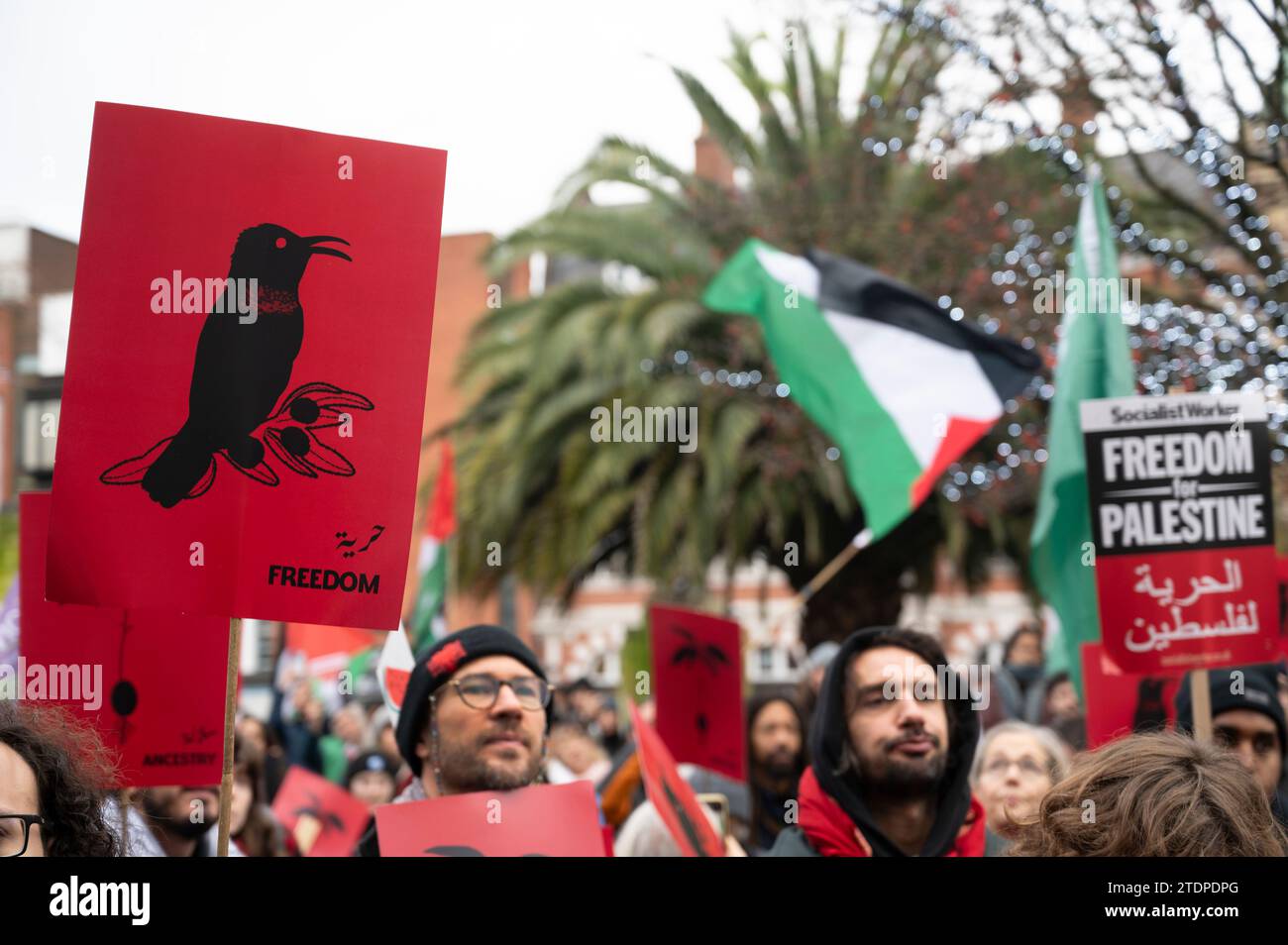 Hackney December 16th 2023. Protest at the town hall against Israel's continual bombing of Gaza. Placard with image of Palestine sunbird (Cinnyris ose Stock Photo