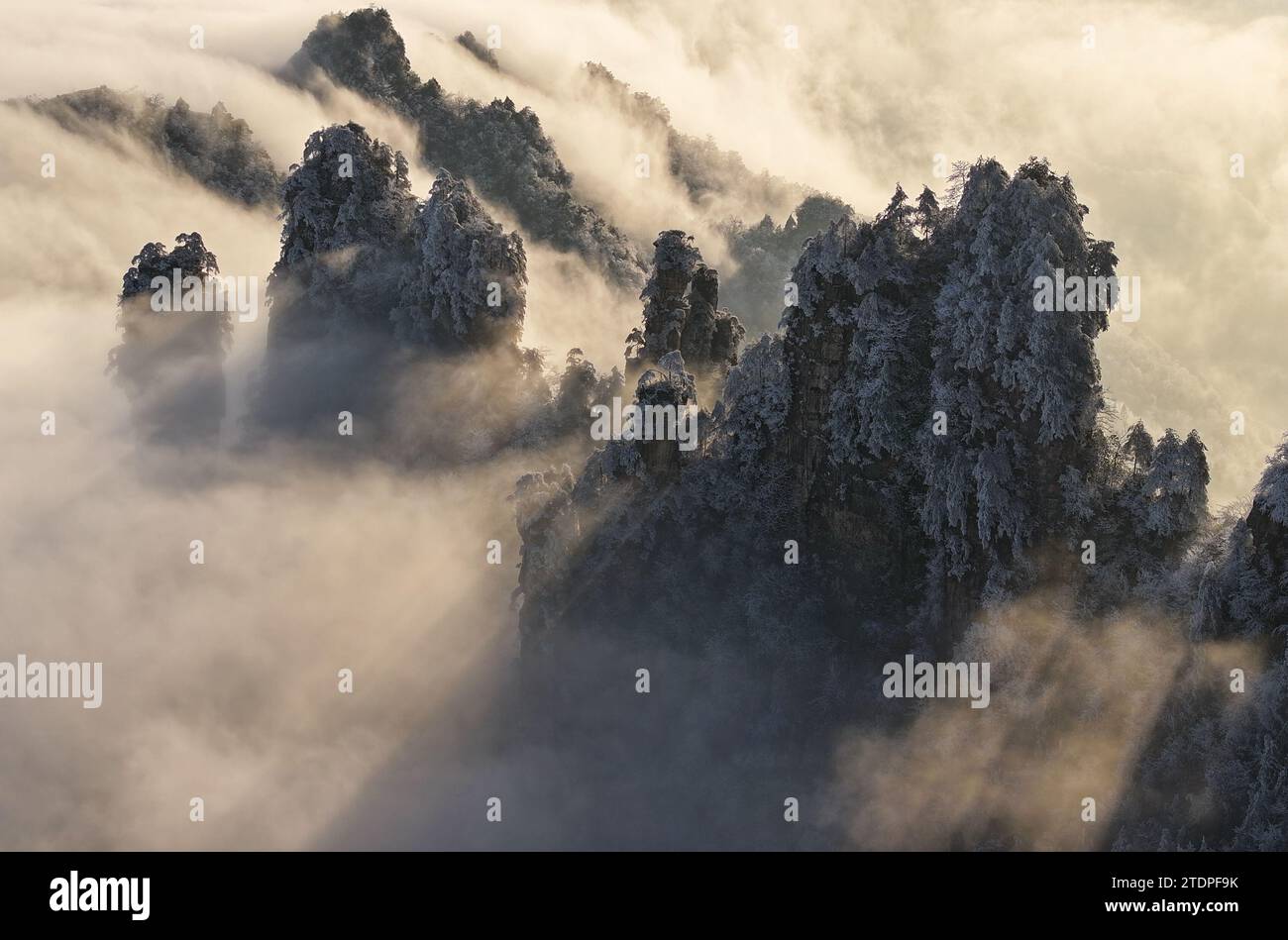 ZHANGJIAJIE 2023 intelligence overview