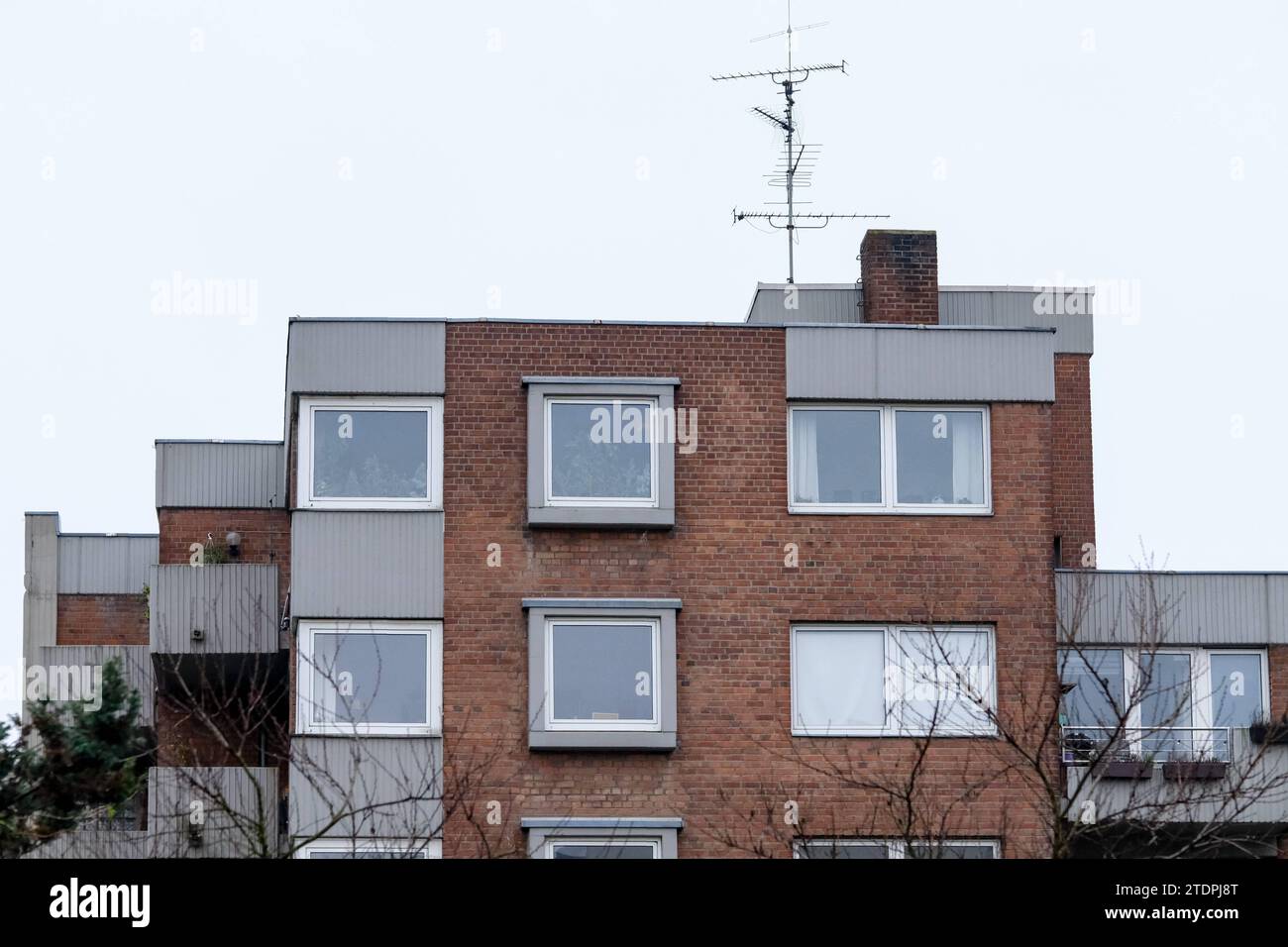 stellenanzeigen leiter immobilien