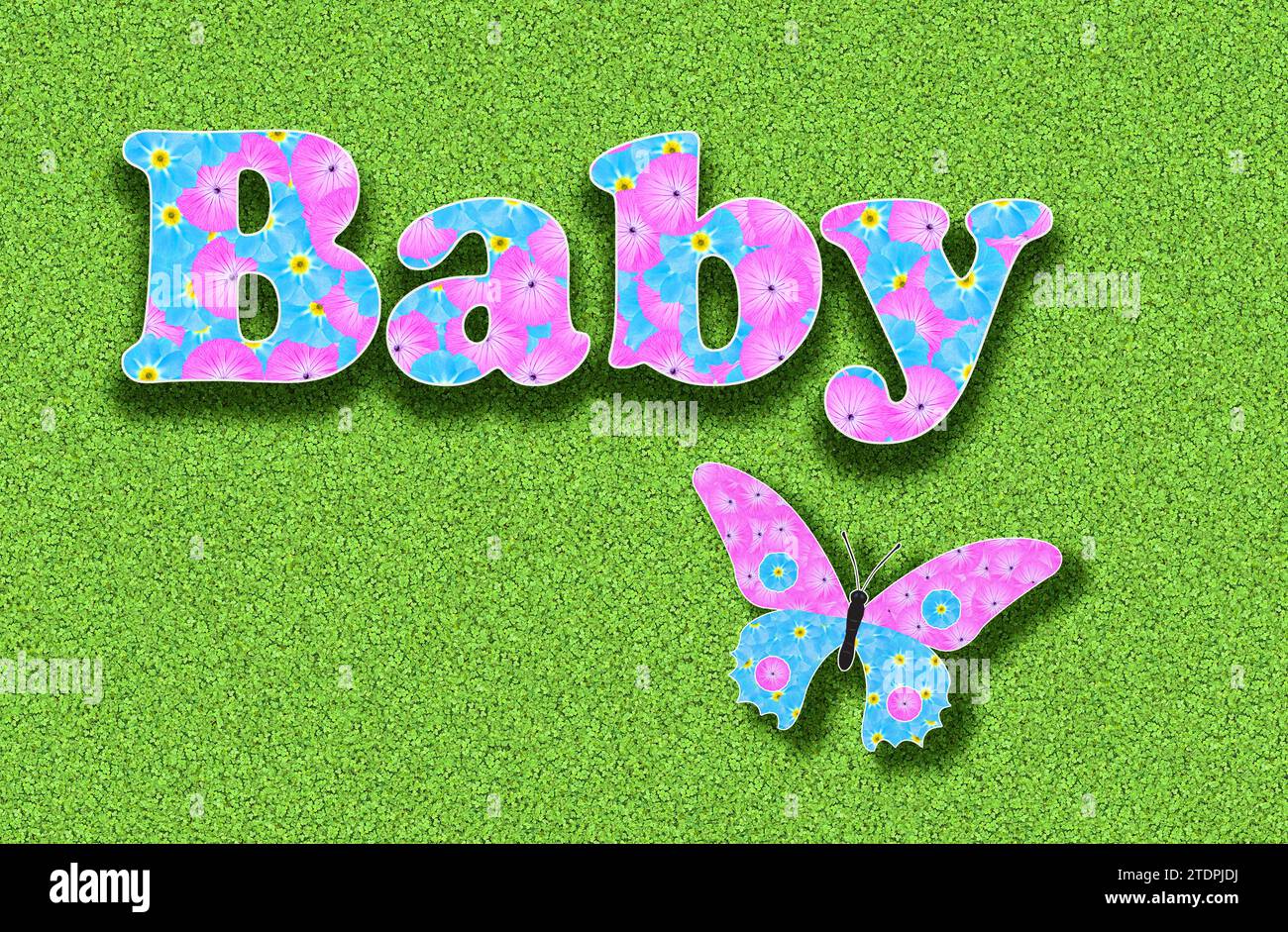 The word baby written with pink and light blue flowers, baby colour, with butterfly on green background Stock Photo
