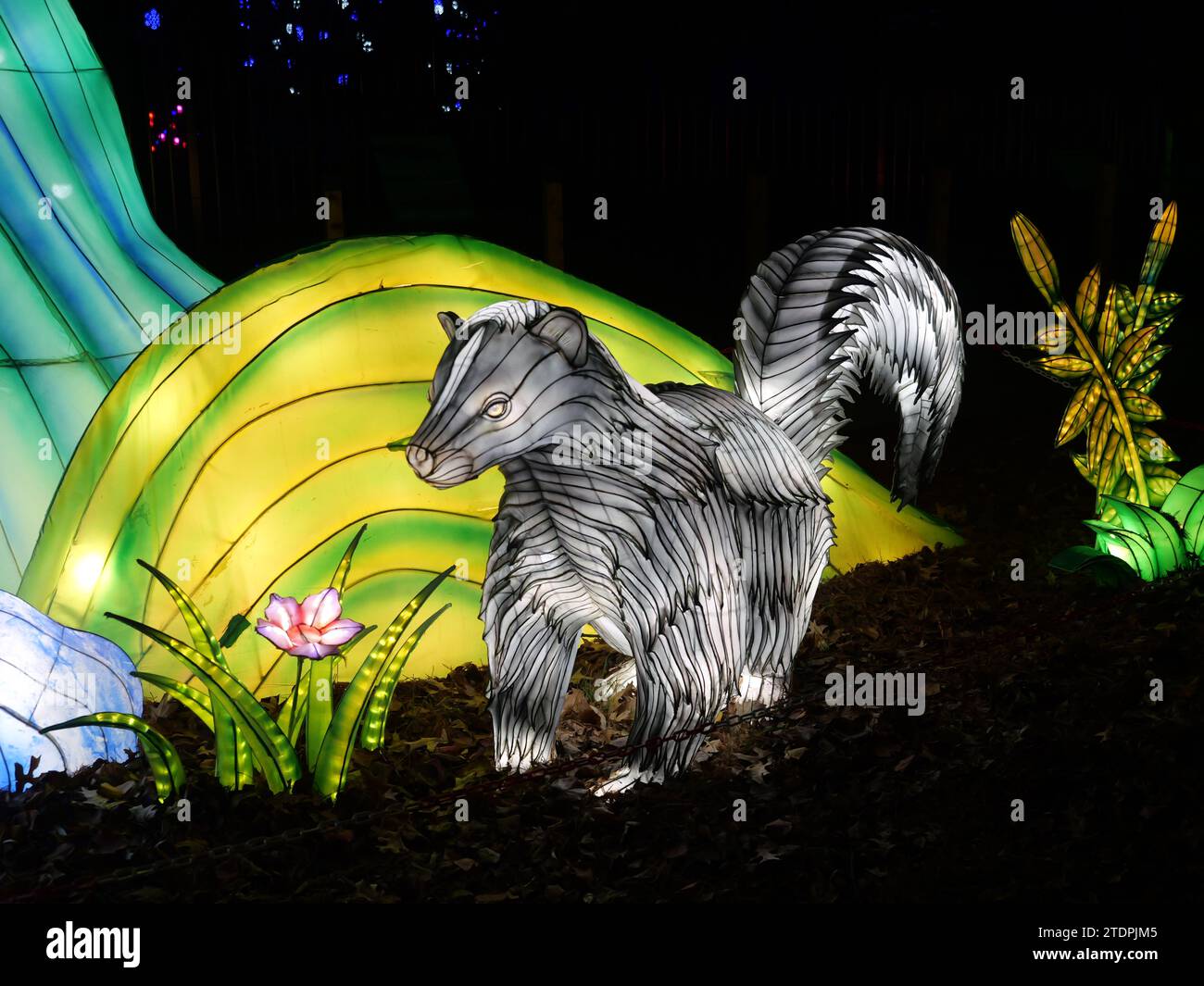 Kansas City, Missouri December 14, 2023 Glowild Christmas Lights at