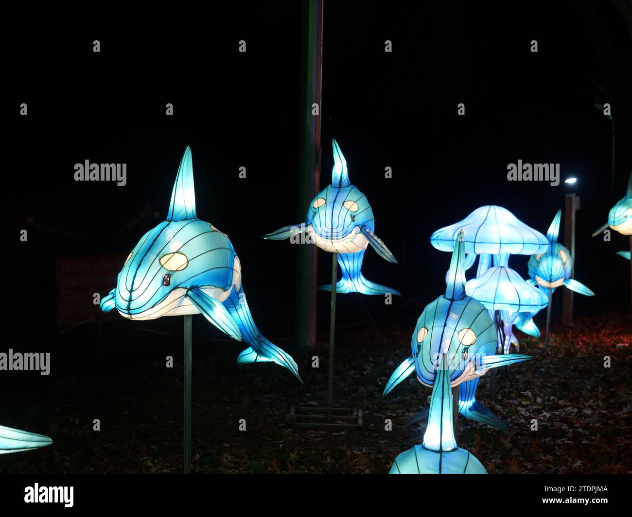 Kansas City, Missouri December 14, 2023 Glowild Christmas Lights at