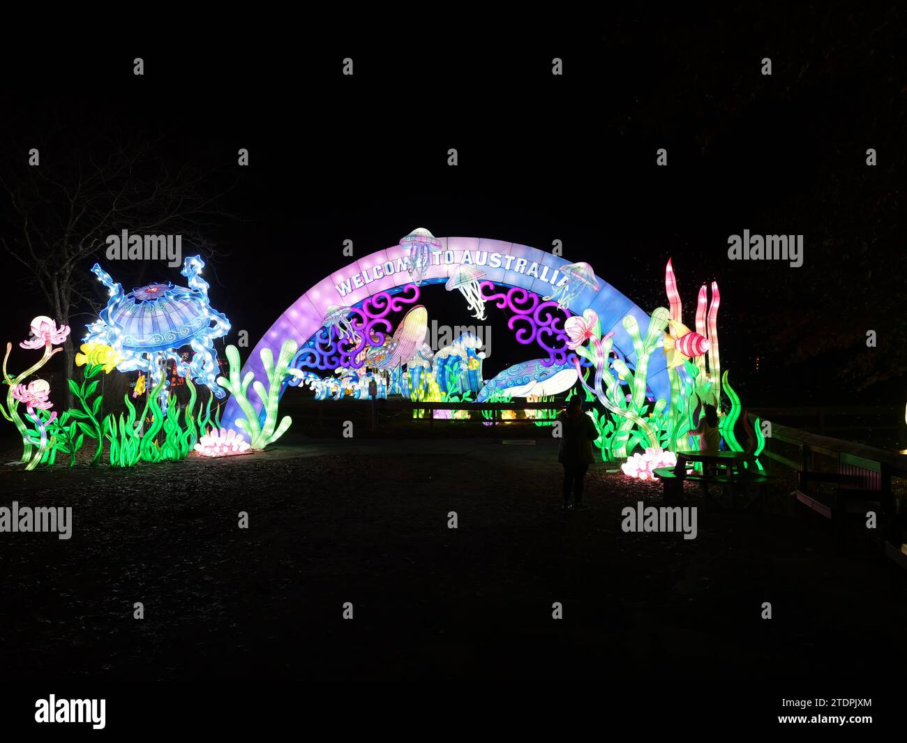 Kansas City, Missouri December 14, 2023 Glowild Christmas Lights at