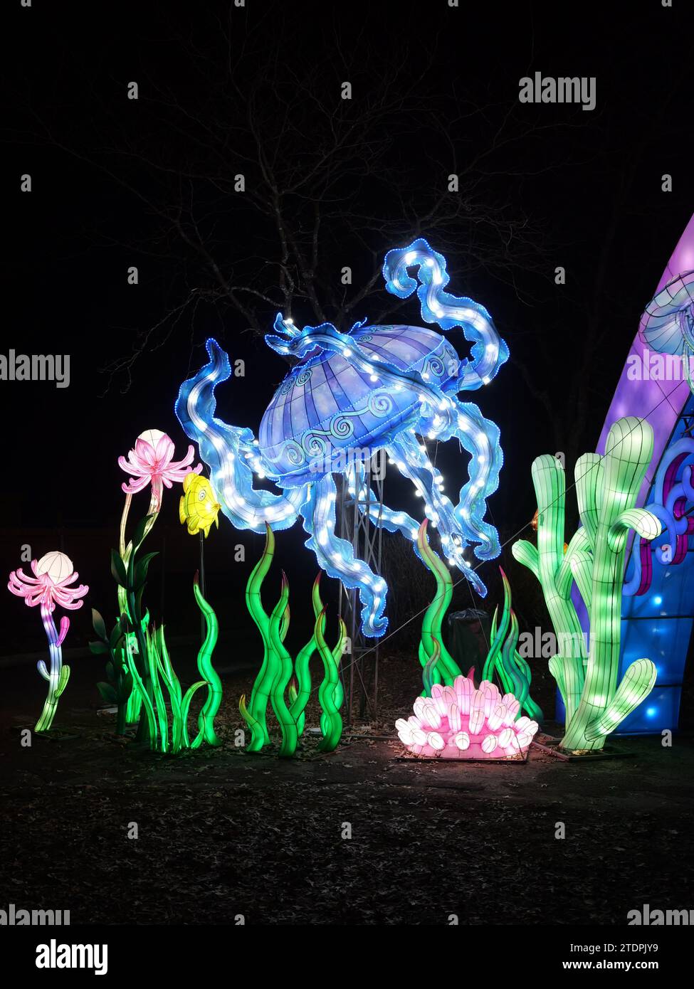 Kansas City, Missouri December 14, 2023 Glowild Christmas Lights at