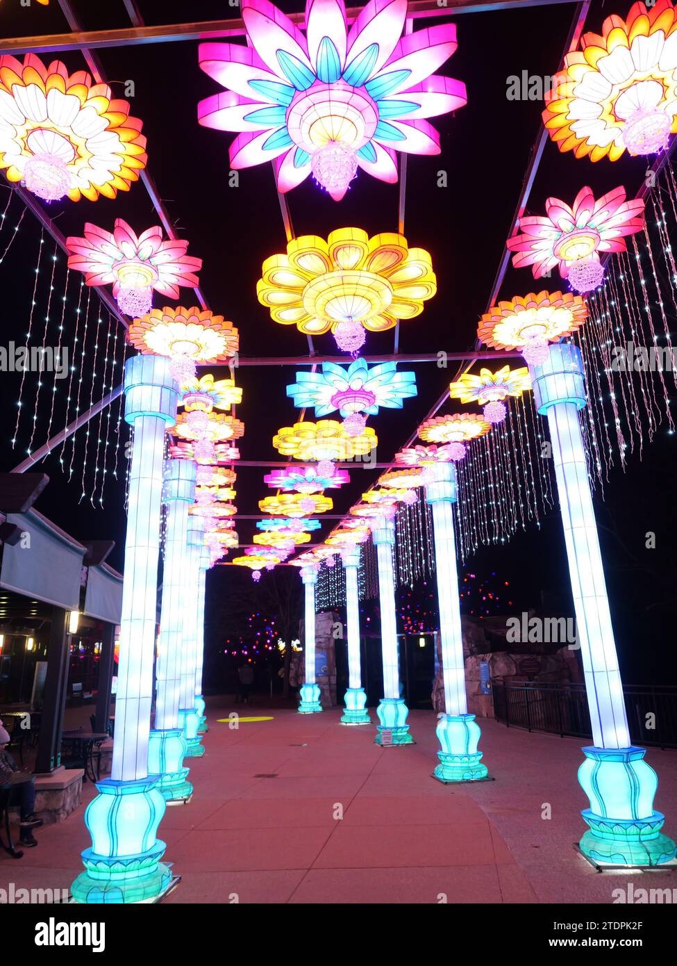 Kansas City, Missouri December 14, 2023 Glowild Christmas Lights at
