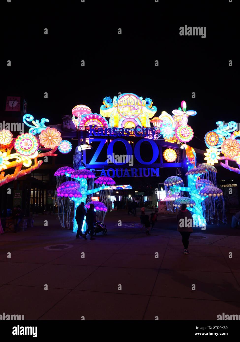 Kansas City, Missouri December 14, 2023 Glowild Christmas Lights at