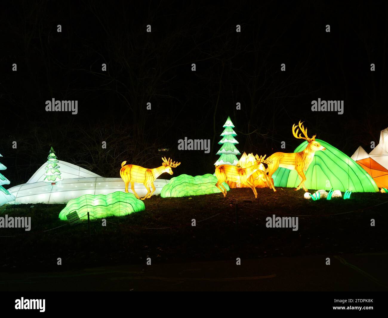 Kansas City, Missouri - December 14, 2023: Glowild Christmas Lights at