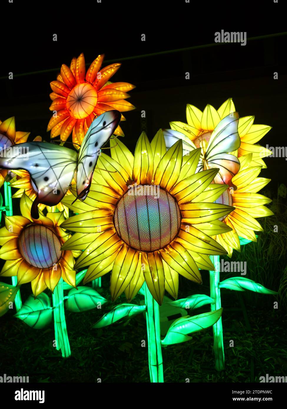 Kansas City, Missouri December 14, 2023 Glowild Christmas Lights at