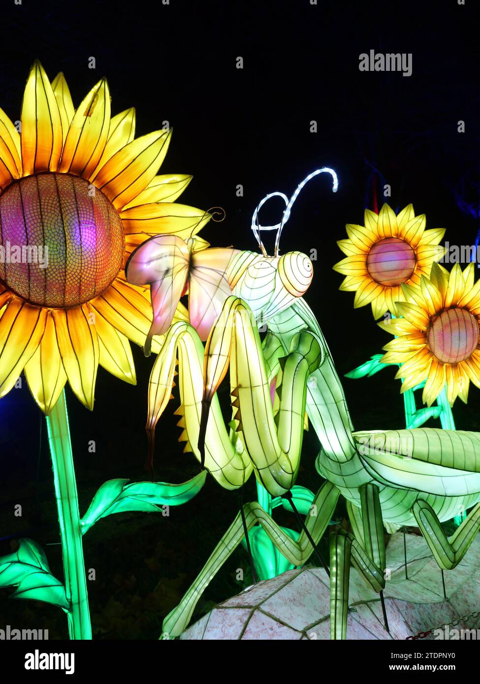 Kansas City, Missouri December 14, 2023 Glowild Christmas Lights at