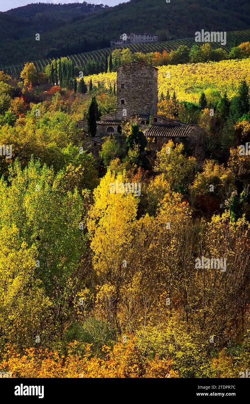 ancient-farmhouse-typical-house-with-tower-among-woods-and-vineyards