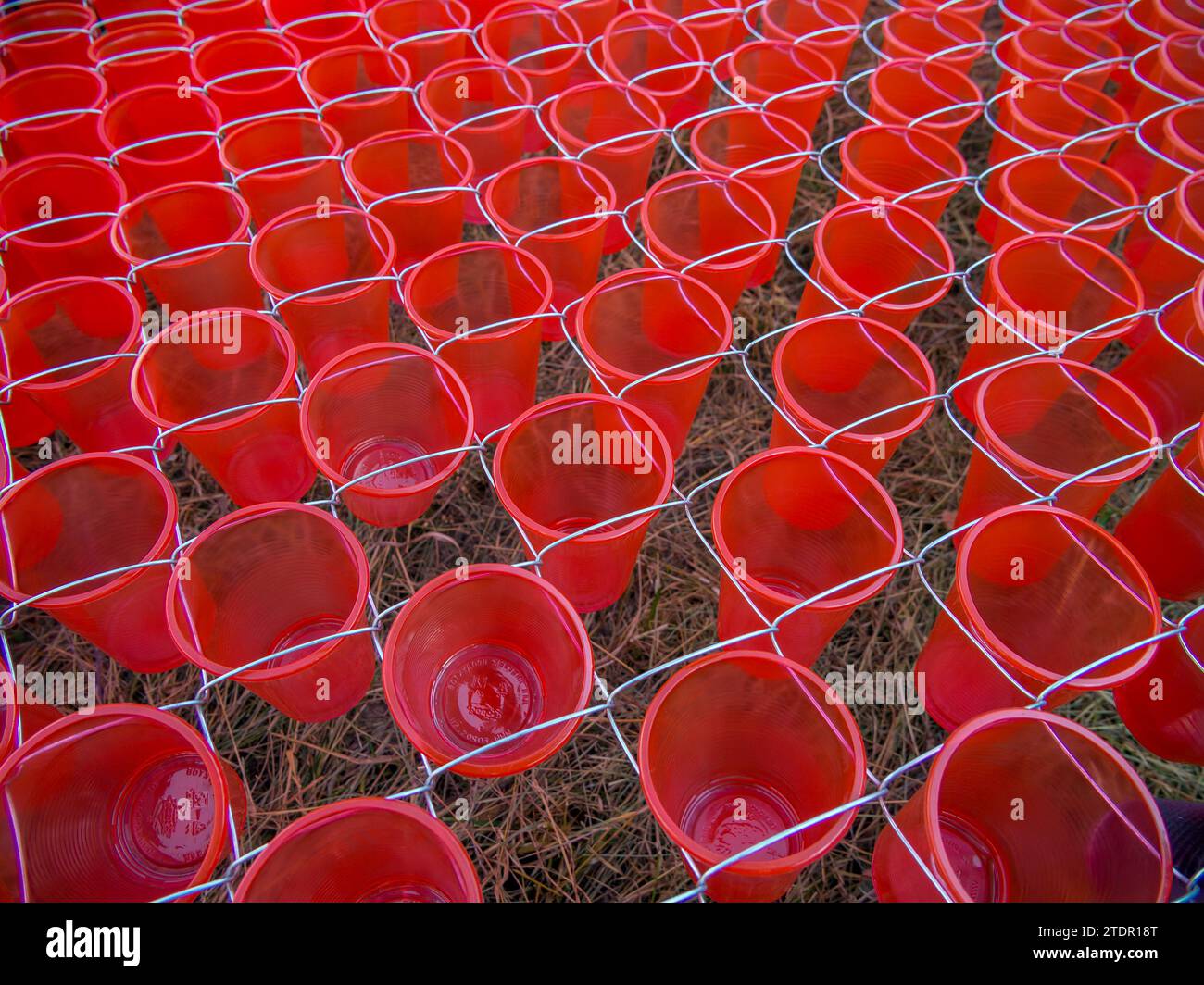 Plastic cups as a decorative element in the cells of the chain-link mesh Stock Photo
