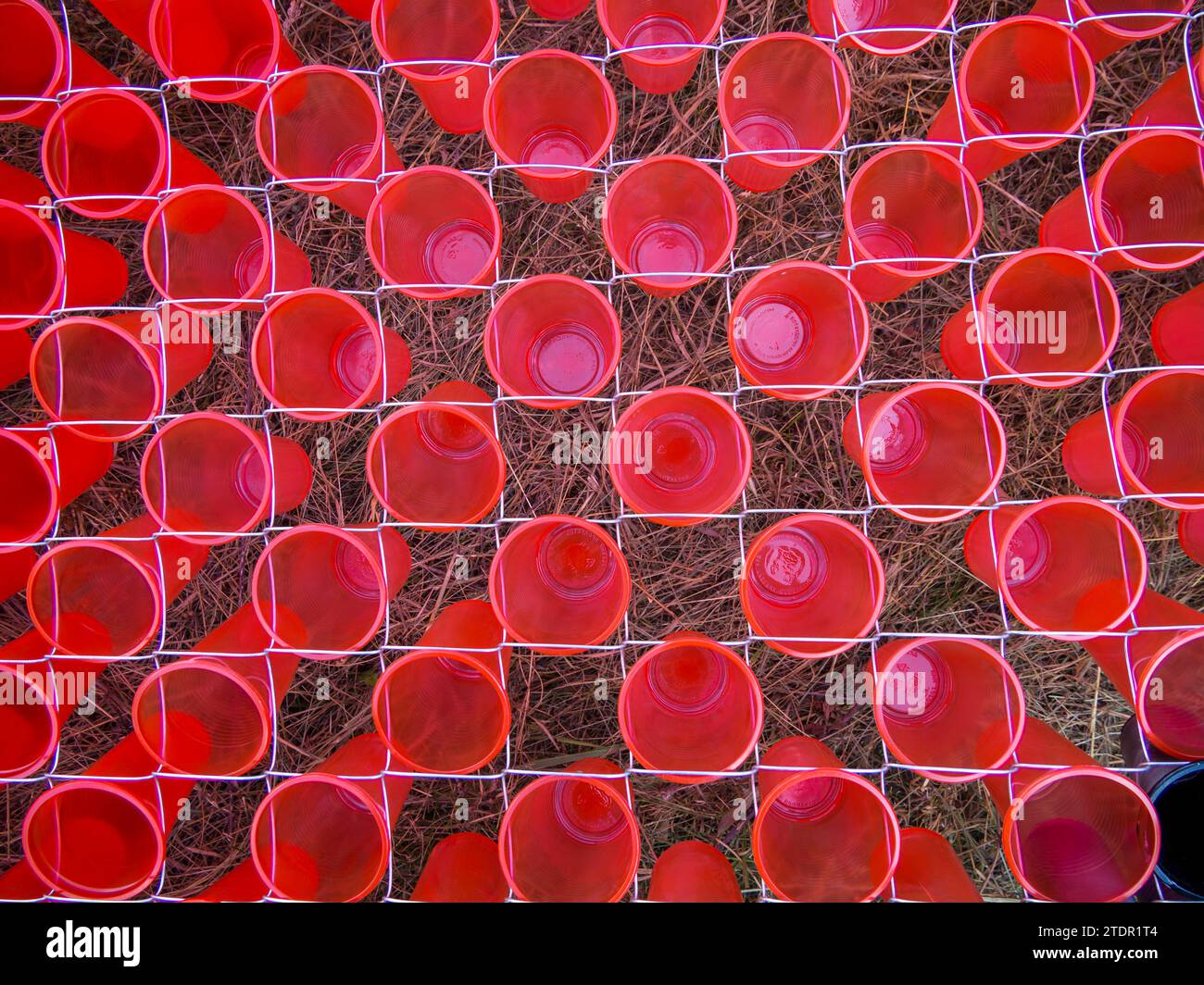 Fragment of a panel made of chain-link mesh and plastic cups Stock Photo