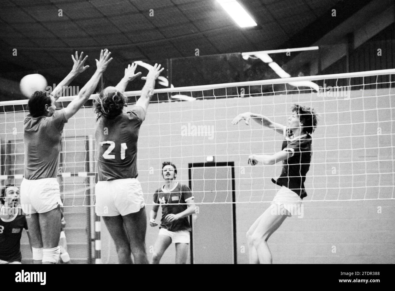 Phoenix US, Volleyball, 14101978, Whizgle News from the Past