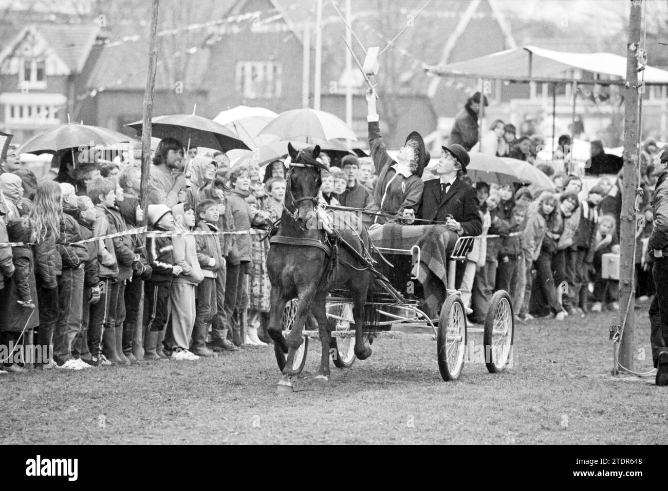 Ring stitching, harnessed horses, B'broek, Queen's Day, Bennebroek, 30-04-1982, Whizgle News from the Past, Tailored for the Future. Explore historical narratives, Dutch The Netherlands agency image with a modern perspective, bridging the gap between yesterday's events and tomorrow's insights. A timeless journey shaping the stories that shape our future Stock Photo