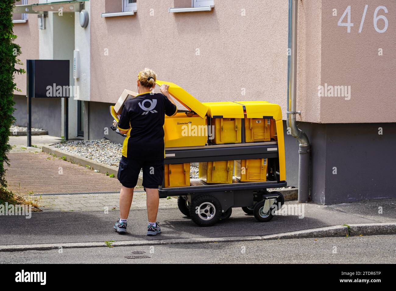 A female letter postman takes letters out of her mail trolley to deliver them to the mailboxes of an residential building, Stock Photo