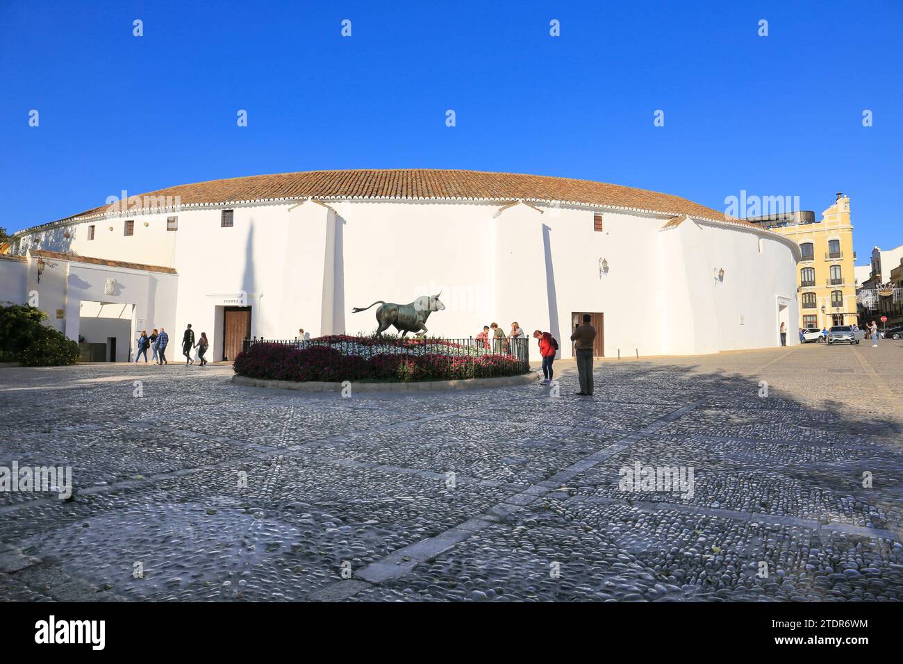 Ronda, Malaga, Spain- October 23, 2023: Bull sculpture at The Real Maestranza bullring in Ronda city Stock Photo