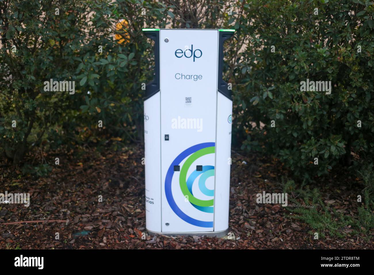 Paredes, Spain, December 19, 2023: A charging point for electric cars during ANFAC reports that more than 25% of charging points for electric cars do not work, on December 19, 2023, in Paredes, Spain. Credit: Alberto Brevers / Alamy Live News. Stock Photo