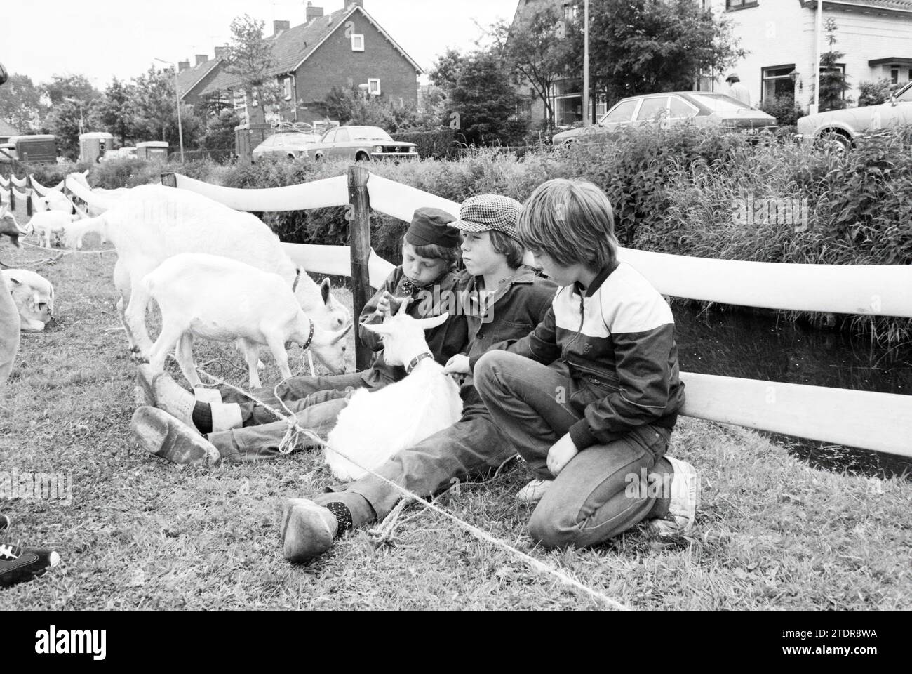 Goat inspection hoofddorp hi-res stock photography and images - Alamy