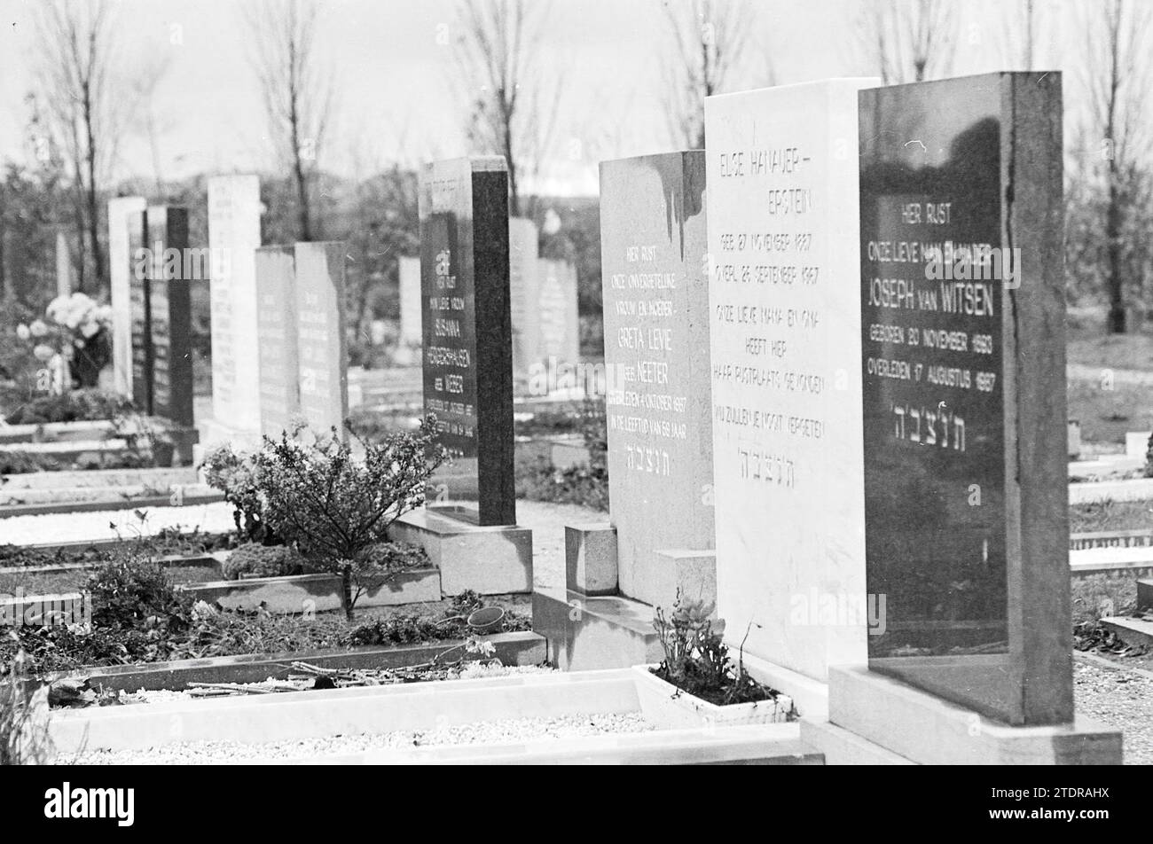 Cemetery, Whizgle News from the Past, Tailored for the Future. Explore historical narratives, Dutch The Netherlands agency image with a modern perspective, bridging the gap between yesterday's events and tomorrow's insights. A timeless journey shaping the stories that shape our future Stock Photo