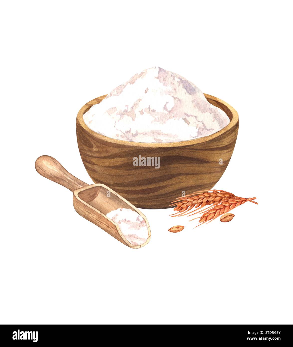 Wooden bowl with wheat flour, wooden scoop and grain and spikelets