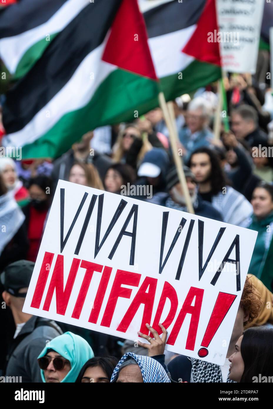 A pro-Palestinian protestor holds sign that says 'VIVA VIVA INTIFADA!' at an anti-Israel march in Toronto, ON on October 28, 2023. Stock Photo