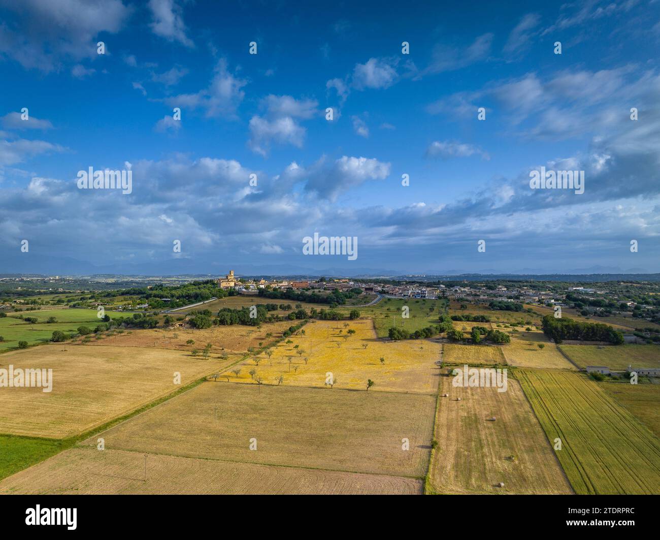 Aerial view of the town of Ariany and its rural surroundings on a ...