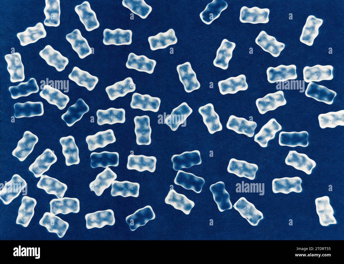 Cyanotype photogram of gummy bears. Stock Photo