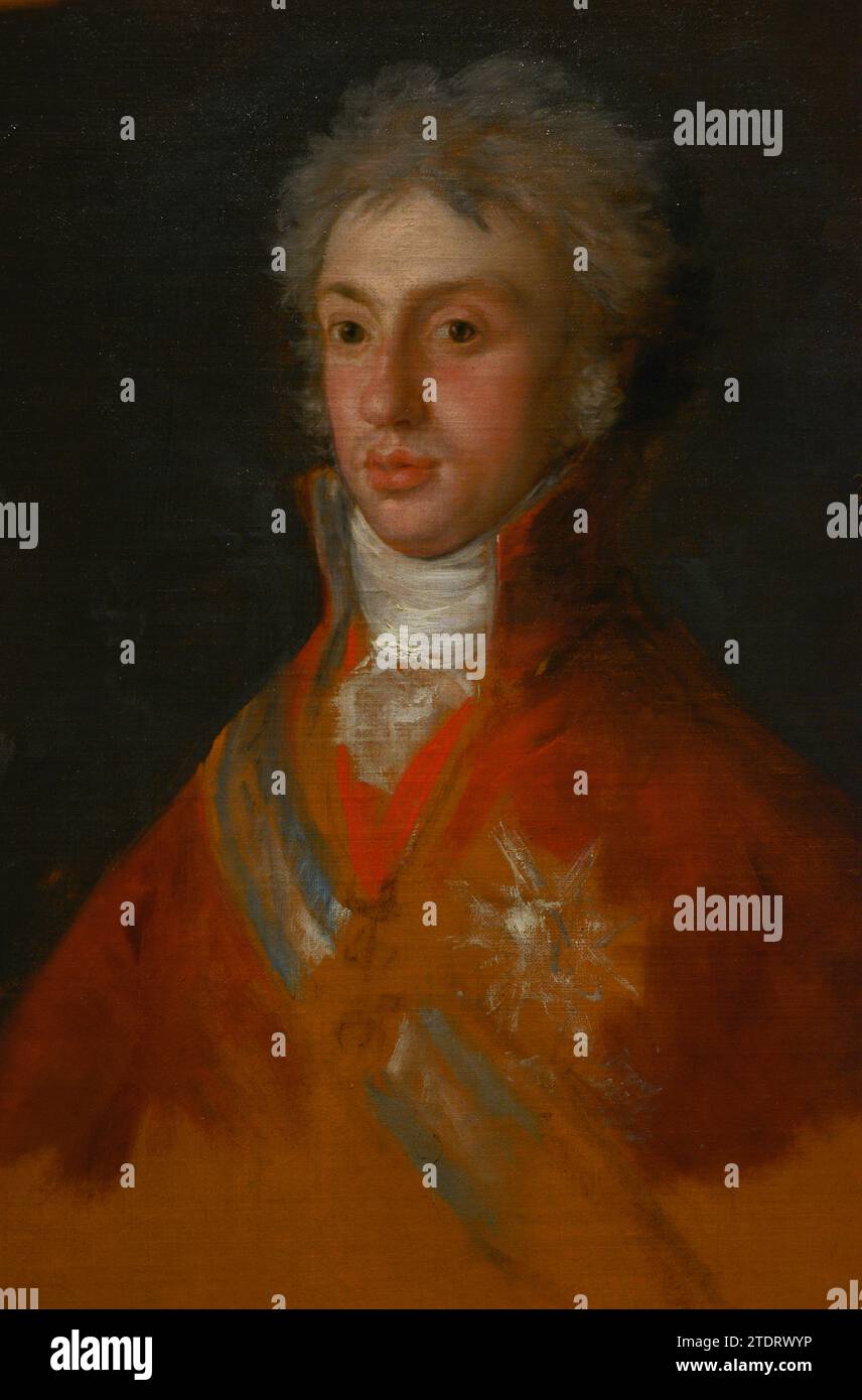 Louis I of Etruria (1773-1803). Infante of Spain. House of Bourbon. Infante Louis I, King of Etruria, Prince of Parma. Portrait by Francisco de Goya Lucientes (1746-1828), 1800. Oil on canvas, 72,5 x 59,4 cm. Detail. Prado Museum. Madrid. Spain. Stock Photo