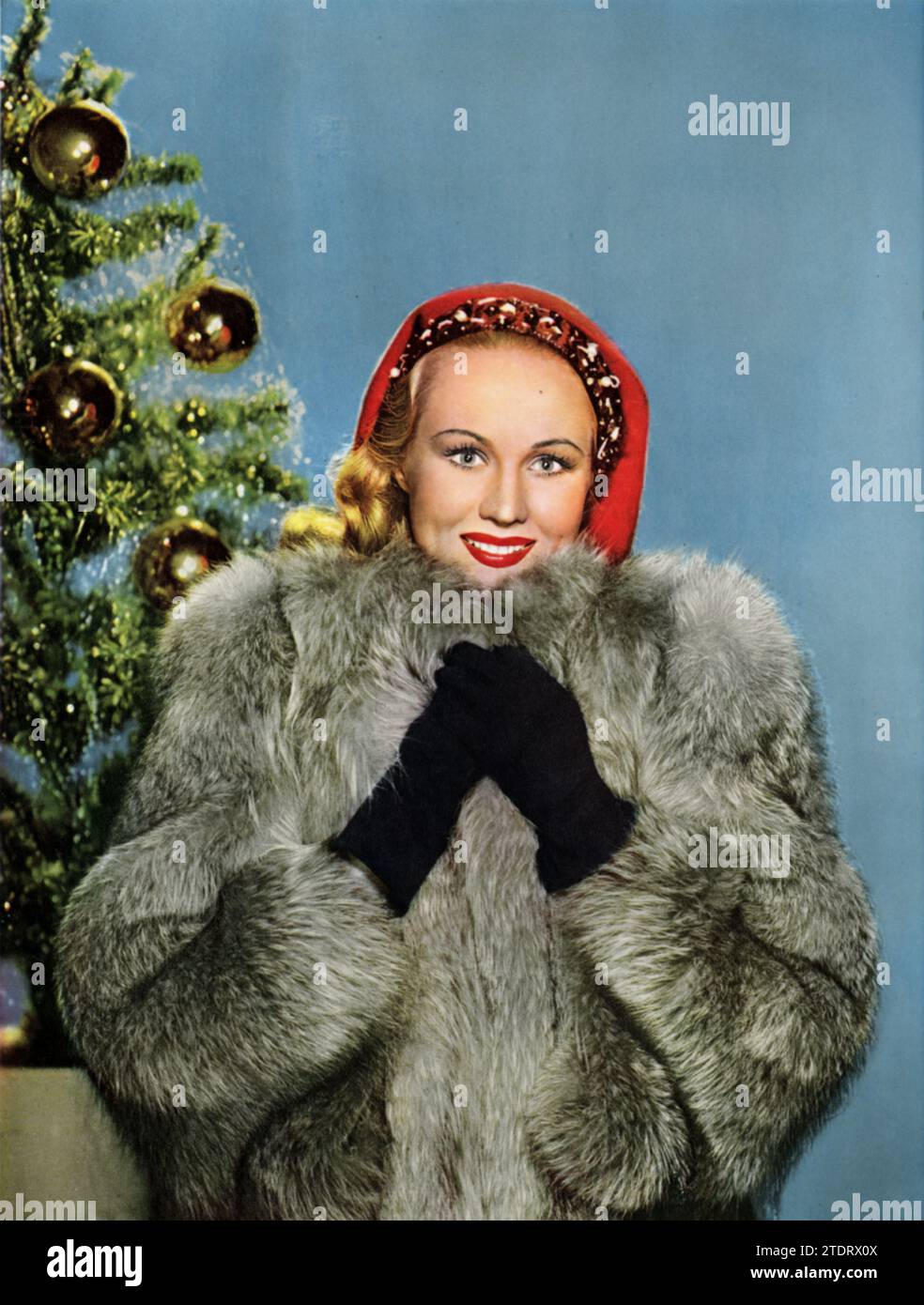 Virginia Mayo, born on November 30, 1920, and passing away on January 17, 2005, was a renowned American actress, celebrated for her role in the critically acclaimed film 'The Best Years of Our Lives' (1946). In this classic post-World War II drama, Mayo played Marie Derry, a character whose marriage is strained by the return of her veteran husband. Her performance in the film showcased her ability to handle complex emotional roles, contributing to her reputation as a versatile and talented actress in Hollywood's Golden Age. Stock Photo